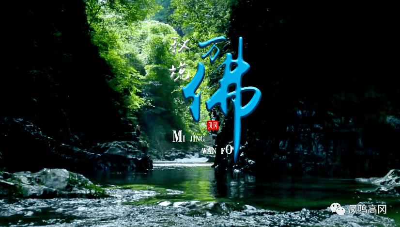 最美的校园女生64