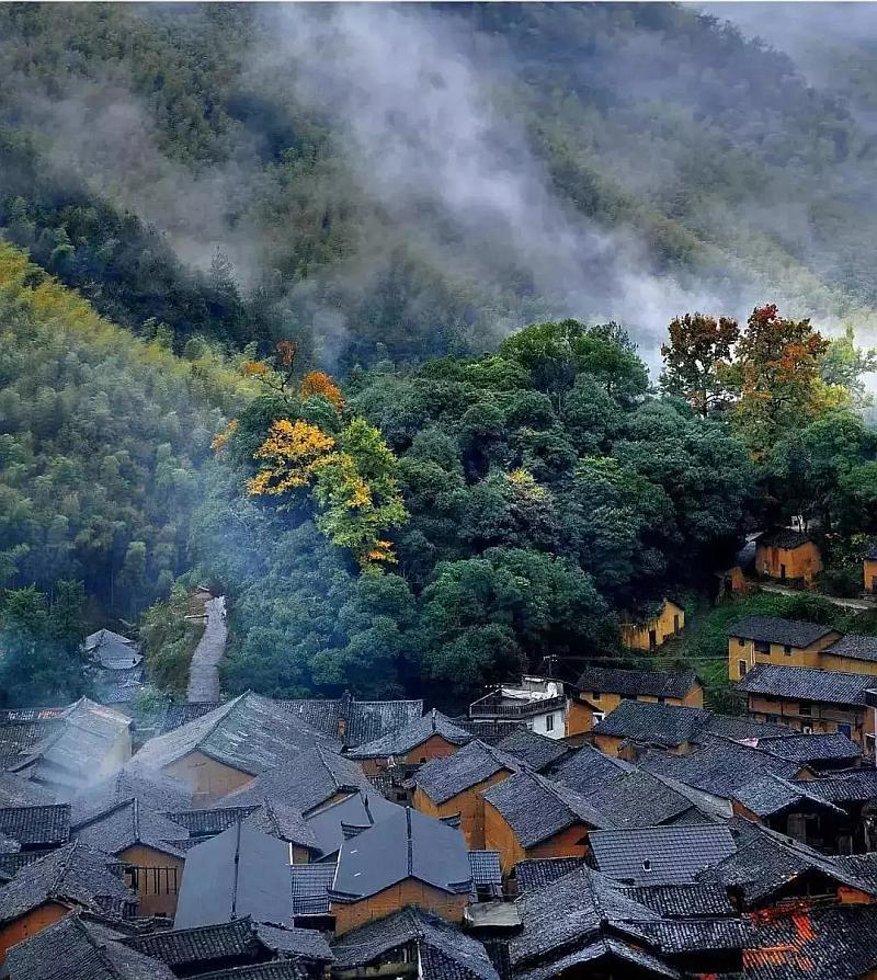 逃离未知丛林2