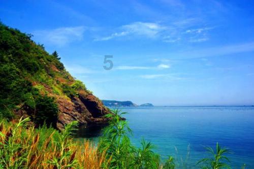 4399全民坦克